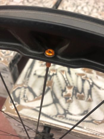 Used Alchemist x7.33 2020 bike — image 7 of 13
