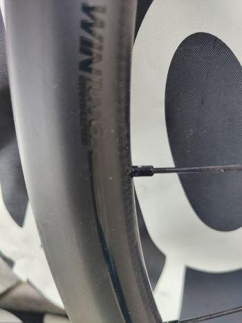 Used Specialized CLX 32 Disc Wheel 2019 bike — image 2 of 8