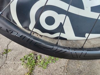Used Specialized CLX 32 Disc Wheel 2019 bike — image 3 of 8