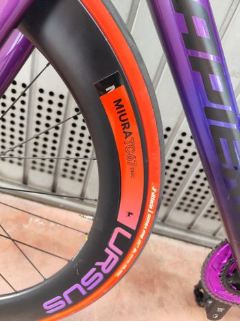 Thumbnail 12