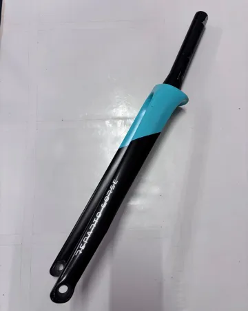 Gebrauchtes Bianchi Specialissima CV Disc Fork