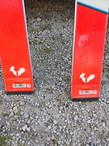 Used Rossignol Hero FIS GS 182cm bike — image 5 of 6