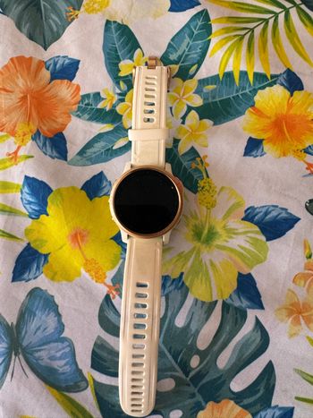 Garmin, Fenix 6S Pro GPS Watch