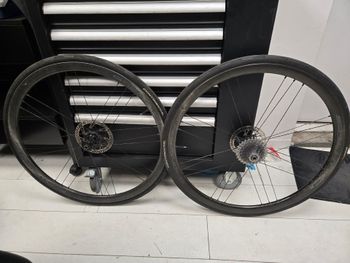 Rayon roue vélo route Campagnolo - Du choix et des prix