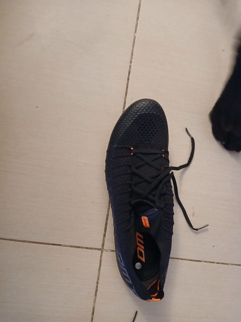 Slide 5