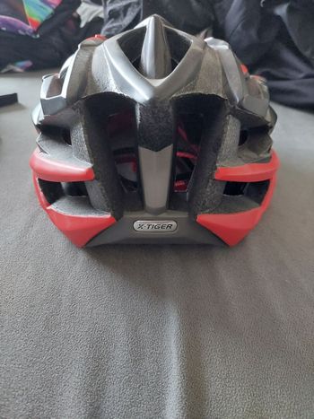 Used X-Tiger AD 015 bike — image 3 of 5