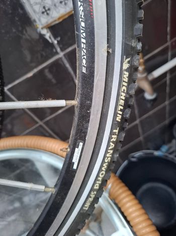Used aksium race michelin transworld sprint bike — image 3 of 5