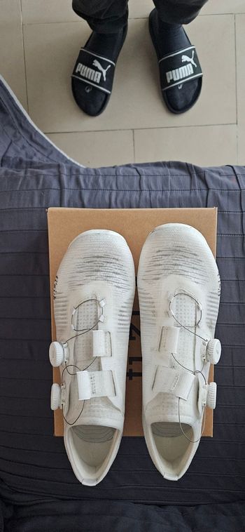 fisik, sScarpe Fizik Vega Carbon - Bianco