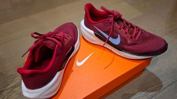 Used Nike Air Zoom Pegasus 41 bike