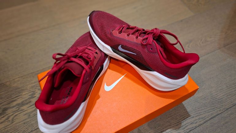 Used Nike Air Zoom Pegasus 41 bike — image 2 of 5