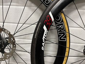 Used roadborn Raptor 38 bike — image 2 of 3