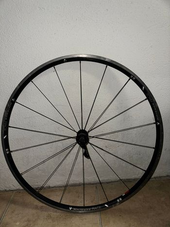 Bontrager, Race