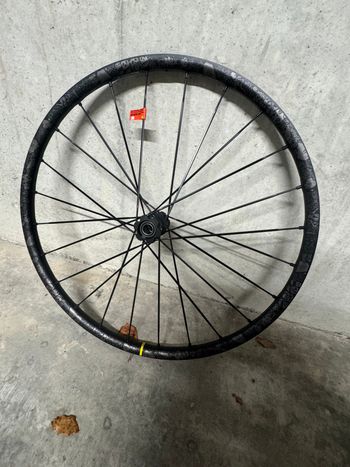 Mavic, Deemax Pro Sam Hill Avant 29’’