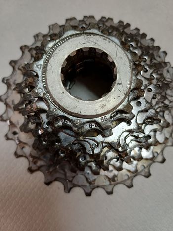 Campagnolo, 9 velocità 12-29 Cassette
