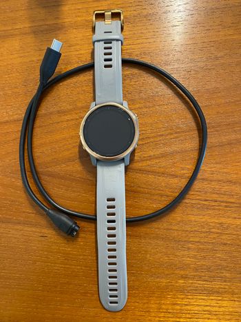 Garmin, Fenix 6s Sapphire