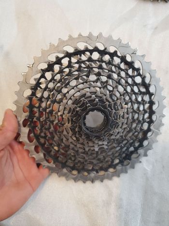 Sram, XG-1295 Eagle Cassette 10-50t