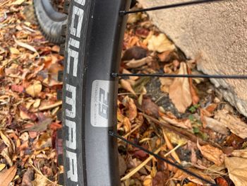 Used Lapierre Alu Wheels VTTAE 2025 bike — image 3 of 4