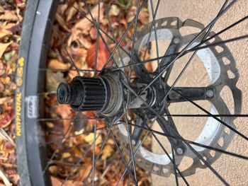 Used Lapierre Alu Wheels VTTAE 2025 bike — image 1 of 4