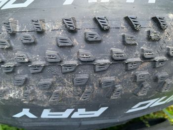 Used Schwalbe racing RAY et racing RALPH 2026 bike — image 3 of 3