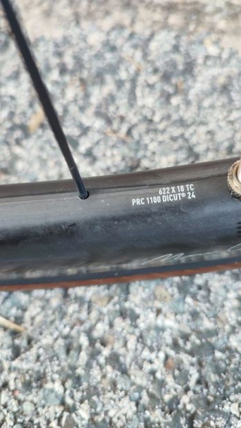 Used Dt Swiss Mont chasseral 25mm 2024 bike — image 4 of 4