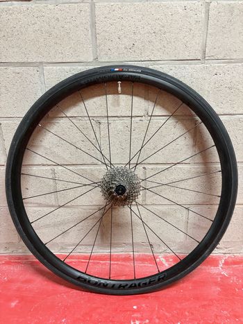 Bontrager, Paradigm Comp 25 Rear Wheel