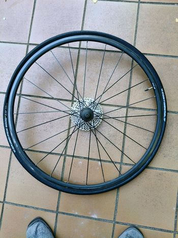 Used Dt Swiss 1400 oxic dicut 2024 bike — image 15 of 16