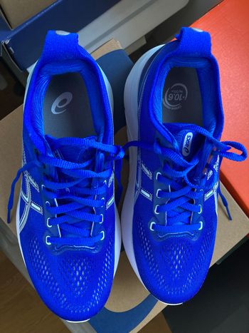 Asics, Gel-Kayano 31 Taille 38