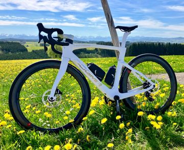 Brugt Fulcrum Wind 55 DB SRAM xdr 2024 bike — billede 6 af 6