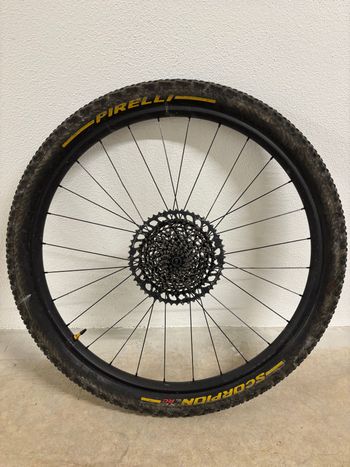 Specialized, 29 MTB DT Swiss