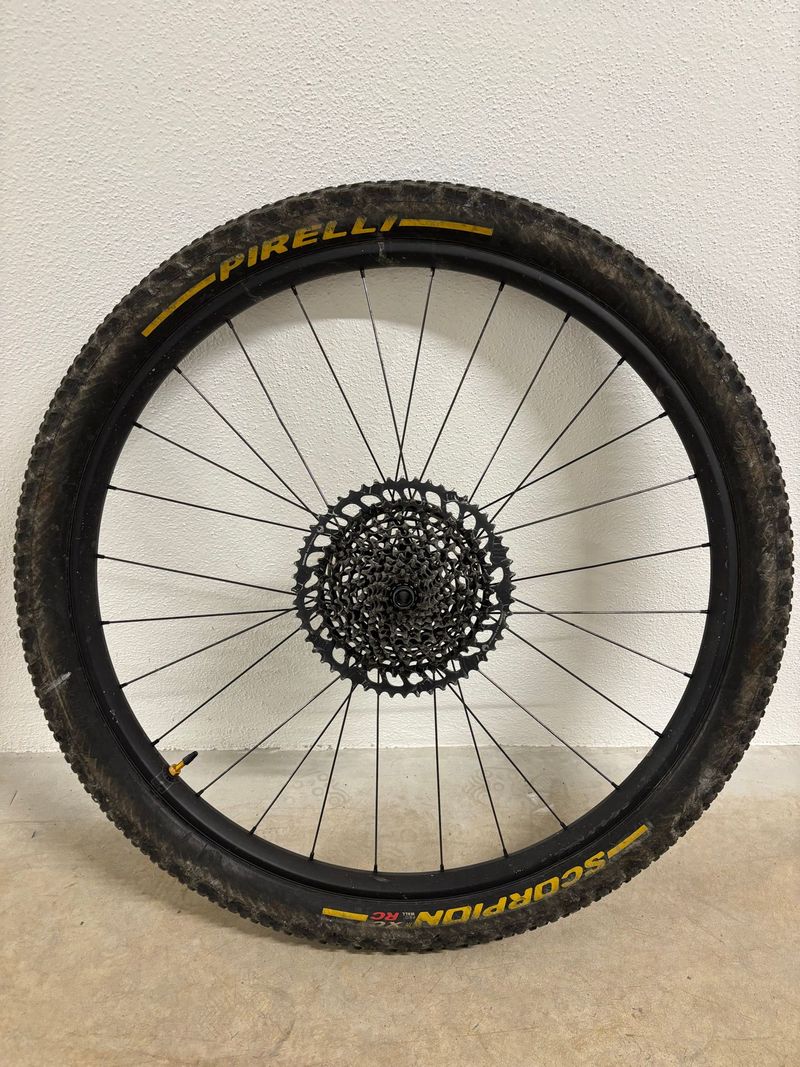 Used Specialized 29 MTB DT Swiss 2023 Wheels