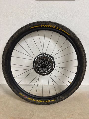 Brugt Specialized 29 MTB DT Swiss 2023 bike — billede 2 af 6