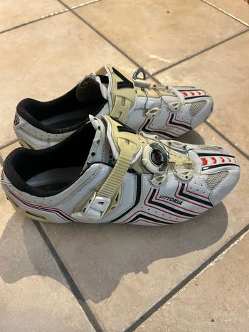Used Vittoria Road Ultralight Carbon bike — image 3 of 6