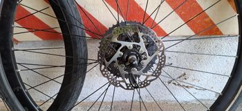 Used Schwalbe ruote22-622 2016 bike — image 4 of 6