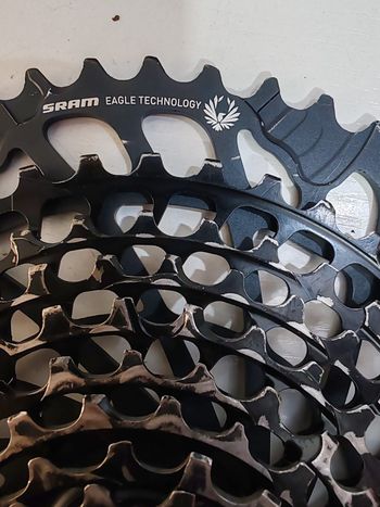 Sram, xx1