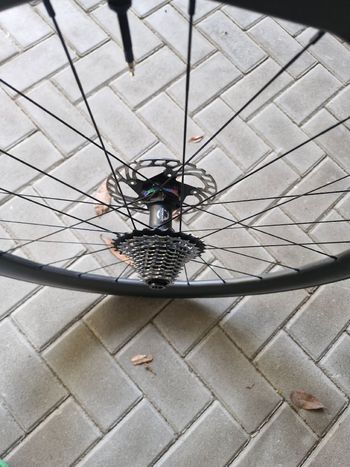 Used Alchemist Ruote 2025 bike — image 4 of 6