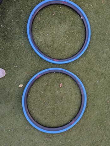 Bontrager, Kovee XXX