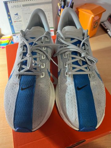 Used Nike Pegasus Plus 2026 bike — image 2 of 6