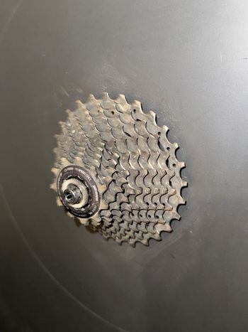 Used Aerycs Frizzbee Scheibenrad 2024 bike — image 4 of 4