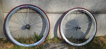 Campagnolo, Shamal