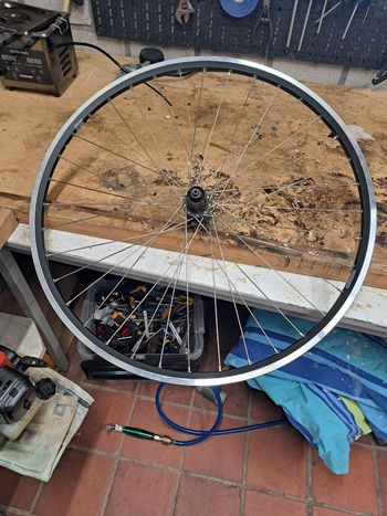 Shimano, 10-Speed Wheel