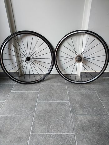 Used Bontrager TLR 2017 bike — image 1 of 2