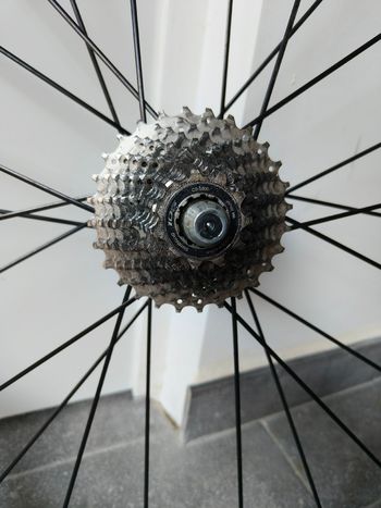 Used Bontrager TLR 2017 bike — image 2 of 2