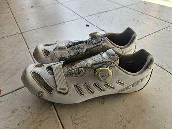 Used Scott Scarpe corsa 2015 bike
