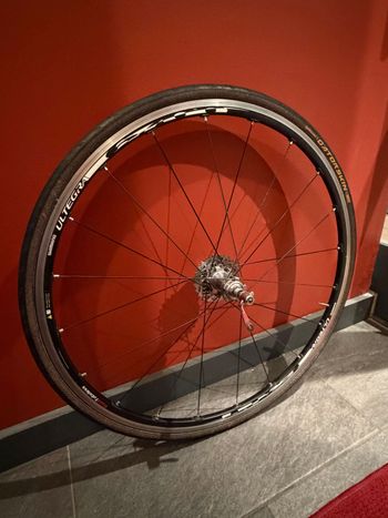 Used Shimano Ultegra Road Rims 2016 bike