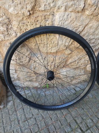 Bontrager, Paradigm Comp 25 TLR Disc Road Wheel