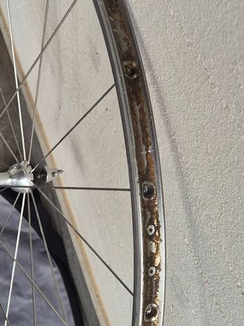 Used Campagnolo Electron Tubolare 1998 bike — image 23 of 25