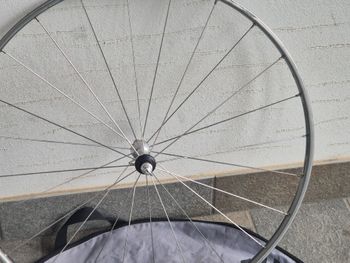 Used Campagnolo Electron Tubolare 1998 bike — image 11 of 25
