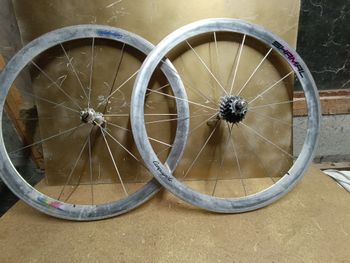 Campagnolo, Shamal 2° Génération 8 Vitesses Boyaux
