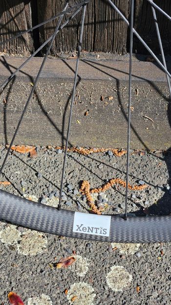 Used XENTIS Laufradsatz 2025 bike — image 2 of 6