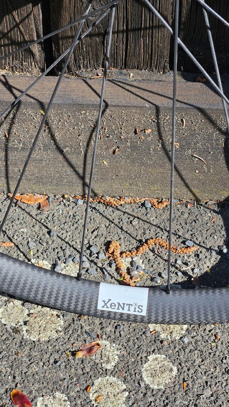 Used XENTIS Laufradsatz 2025 bike — image 2 of 6